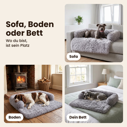 Schnauzenheld Sofabett auf dem Sofa, auf dem Boden und auf dem Bett