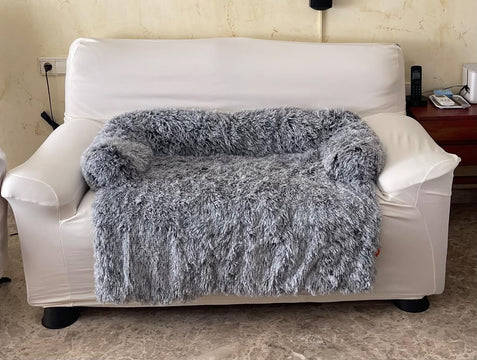 Hund auf dem Sofabett